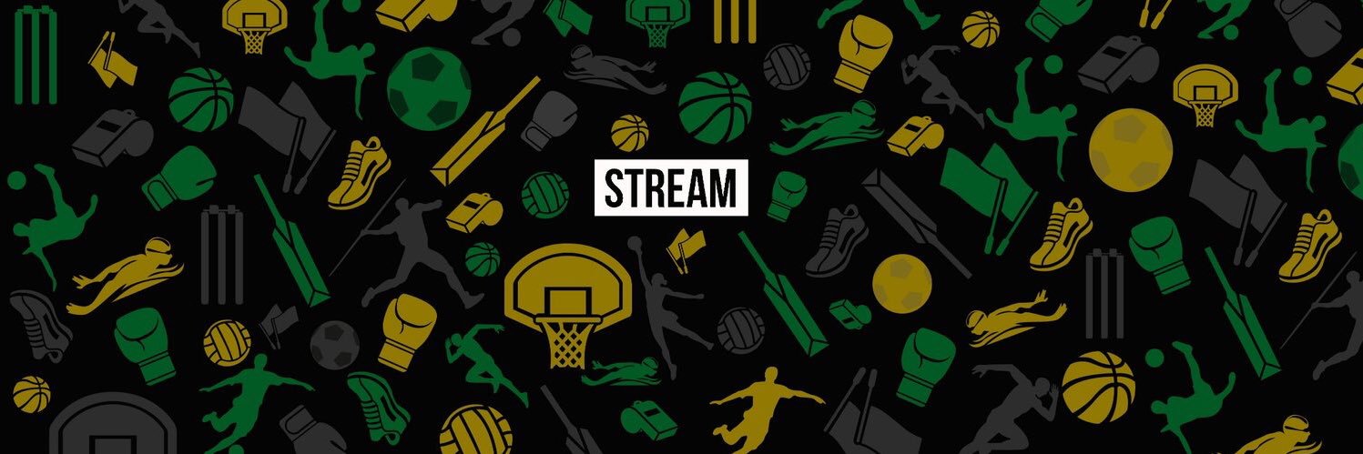 Stream's banner