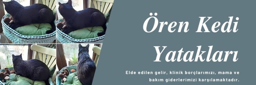 örenkedi's banner