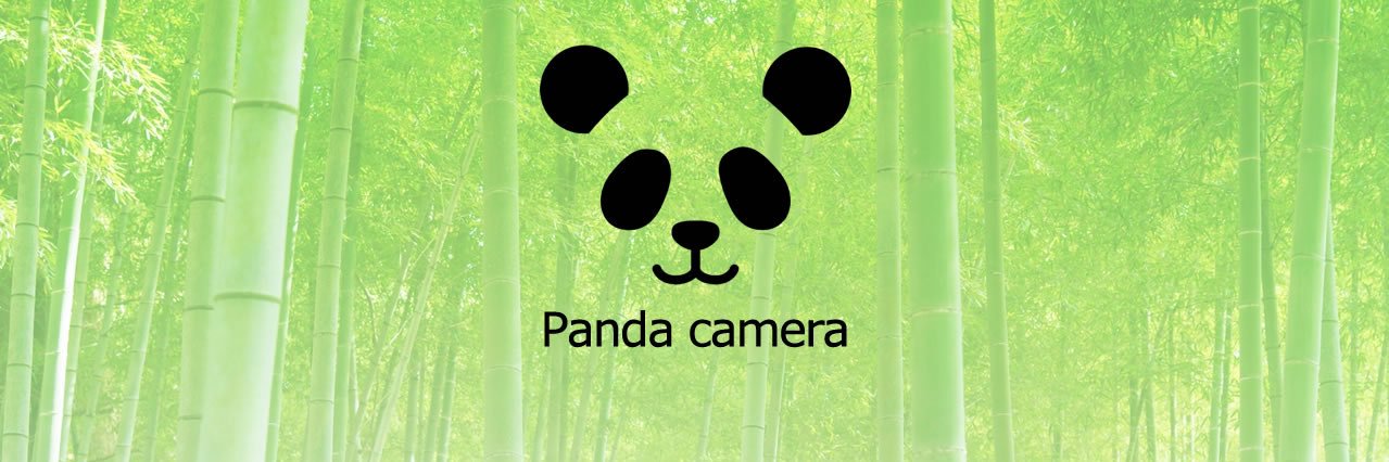 Panda camera (パンカメ🐼)'s banner