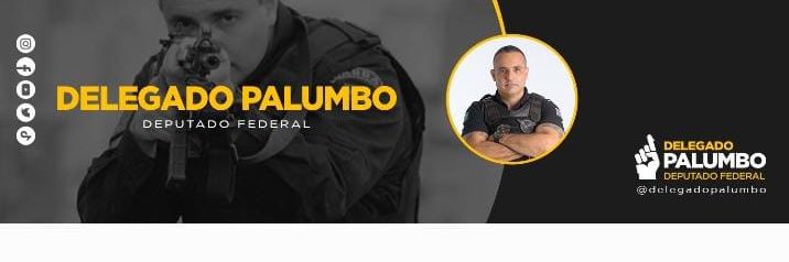 DELEGADO PALUMBO's banner