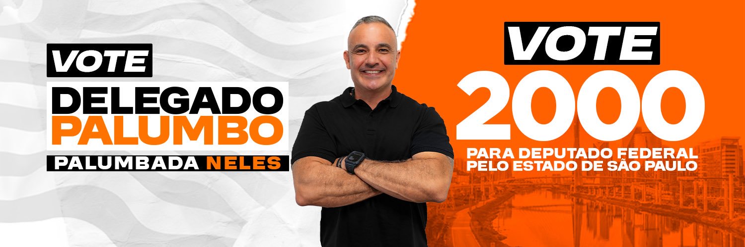DELEGADO PALUMBO's banner