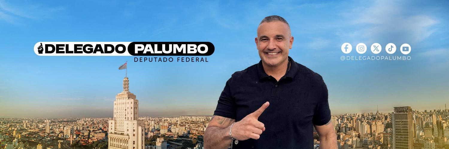 DELEGADO PALUMBO's banner