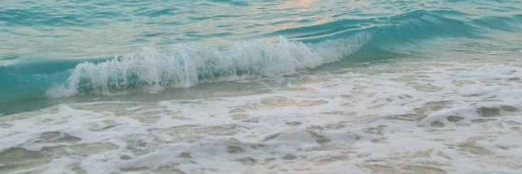 Nicole Grace's banner