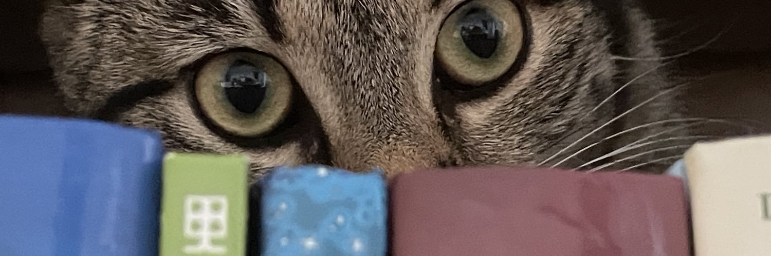tabby's banner
