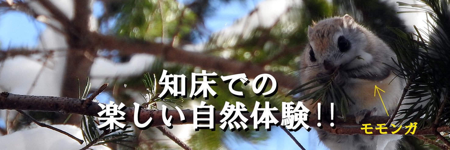 知床SOT！(そっと)〜知床での楽しいガイドツアー's banner