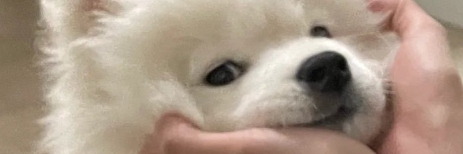 gorgor .◜◡◝'s banner
