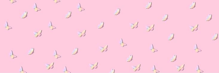 bunnie's banner