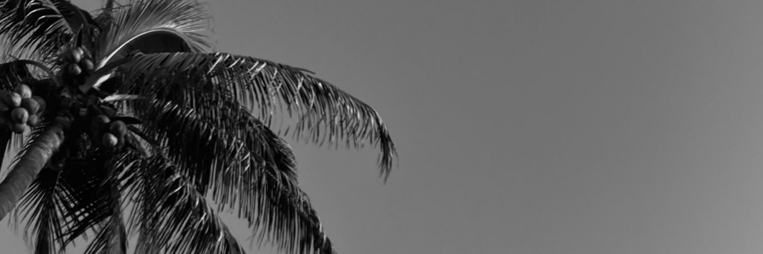 Marcela Bull's banner