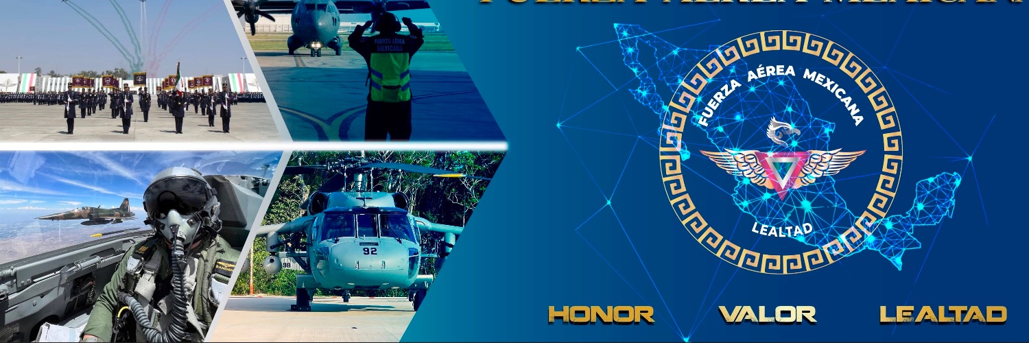 Fuerza Aérea Mexicana's banner
