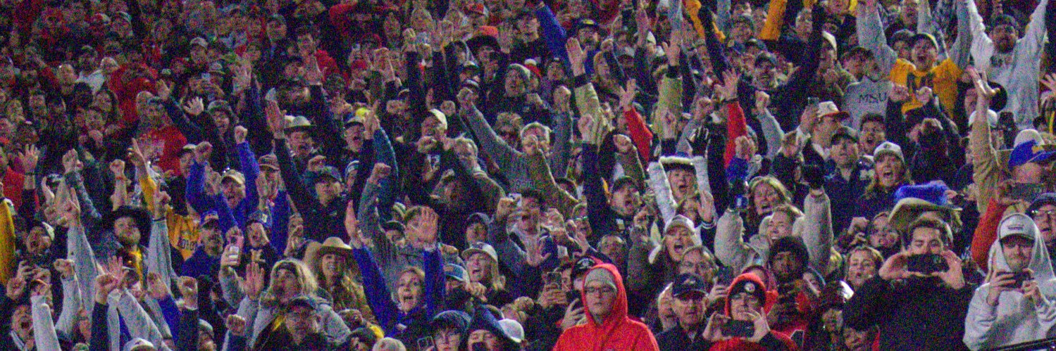 Taco Dowler's banner