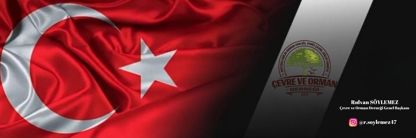 Rıdvan Söylemez's banner