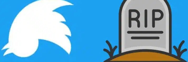 Rafa Cereceda - The sky is bluer in Bluesky.'s banner