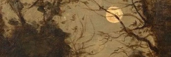 sophie's banner