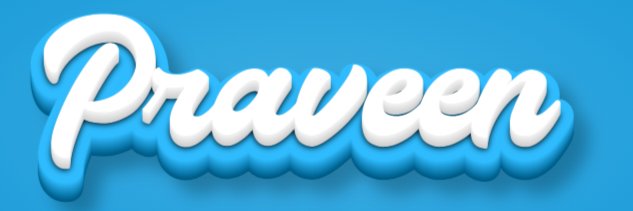 Praveen प्रवीण's banner