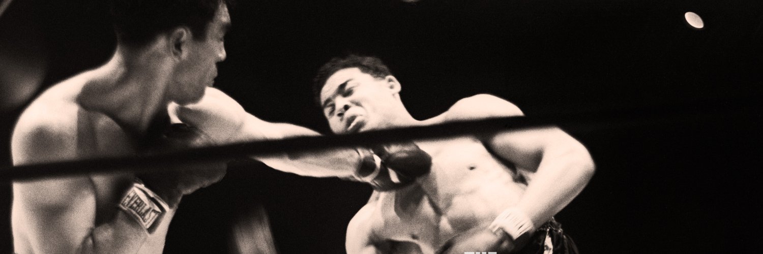 OLNY FIGHT VIDEOS's banner