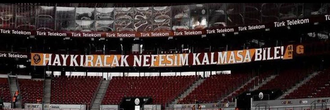meri's banner