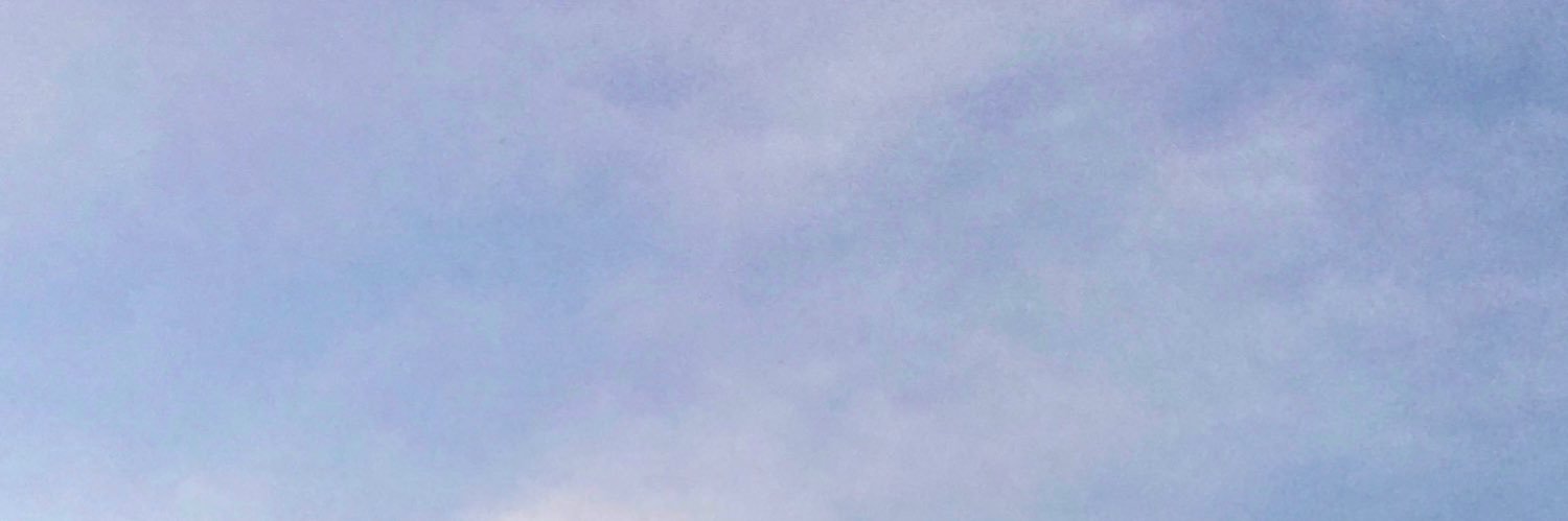 P Story's banner