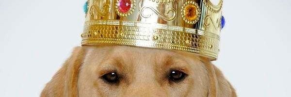 Jarl_SwagDog's banner