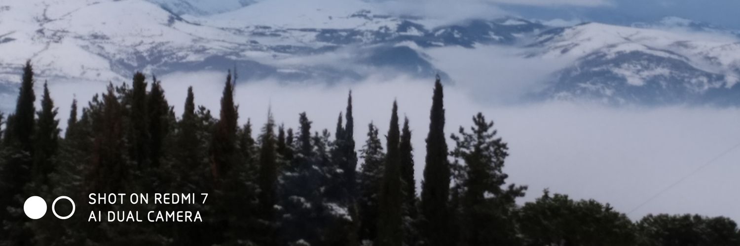 свет's banner