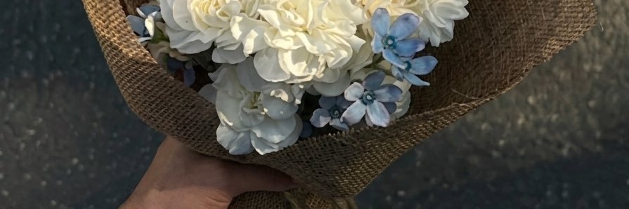simon koci ‧₊˚'s banner