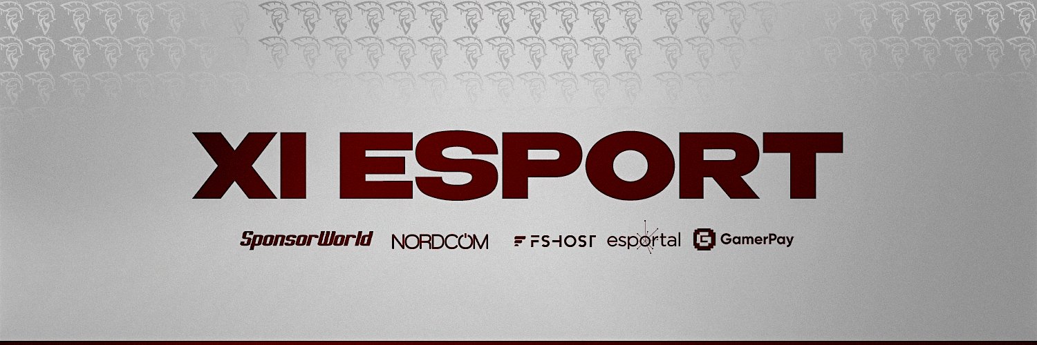 XI ESPORT's banner
