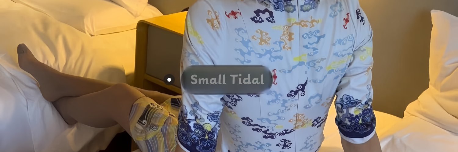 Small Tidal's banner
