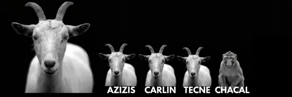 AzizisNews's banner