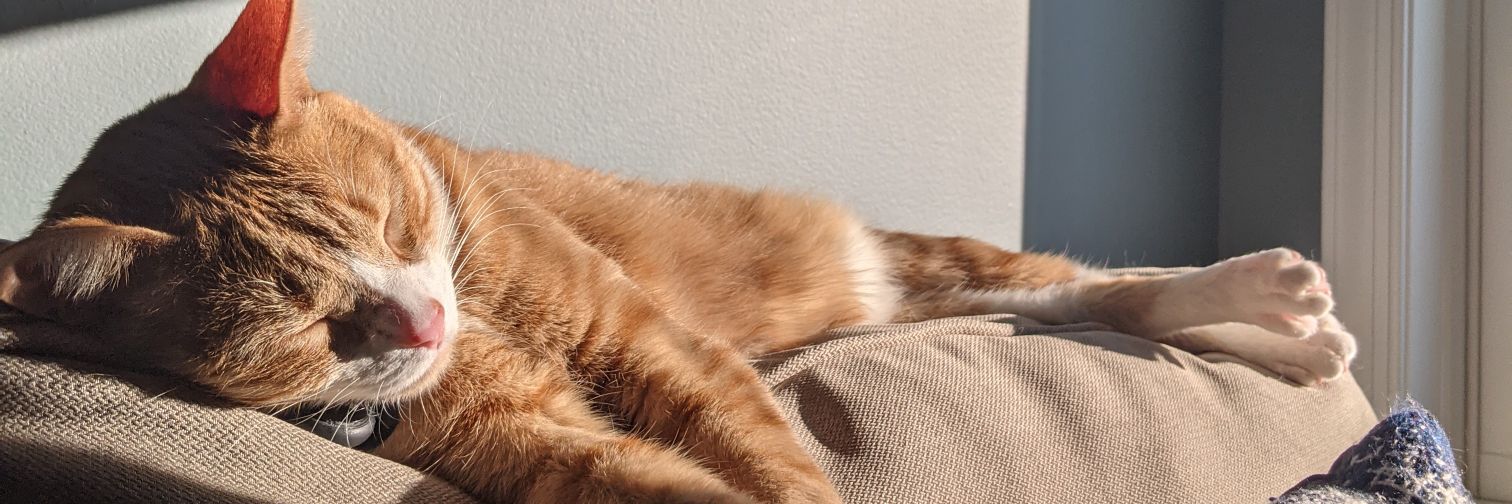 Sarge 🧡's banner