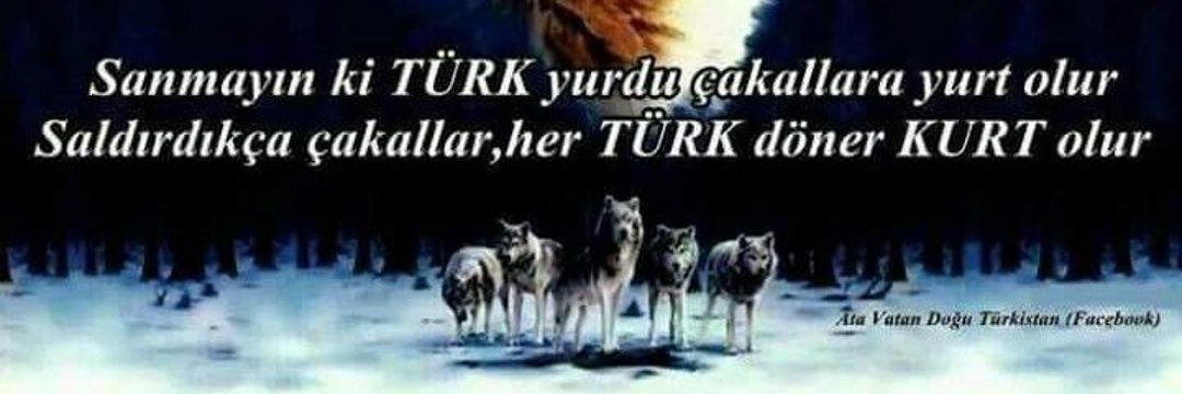 Üç Düğme ( Yüzük Var Bir Sakatlık Çıkacak )'s banner