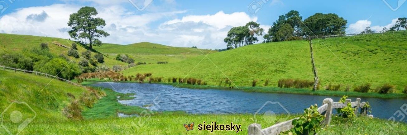 R_Sky 🇵🇱🇪🇺 🏳️‍🌈✌️'s banner