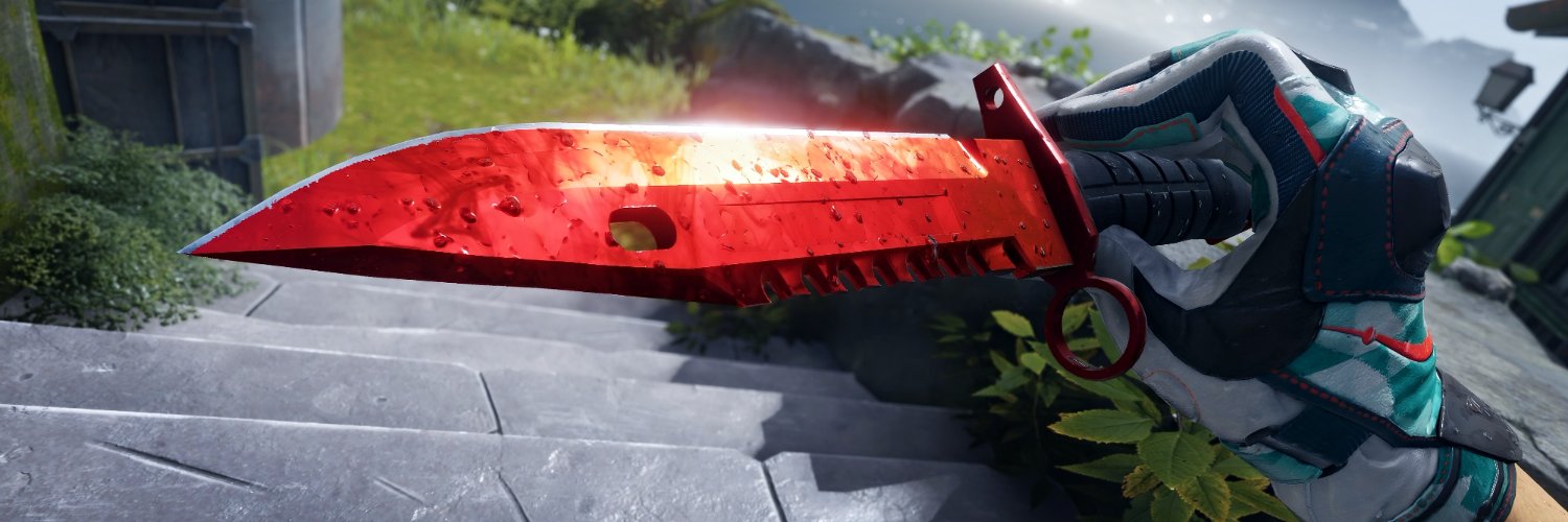 zada's banner