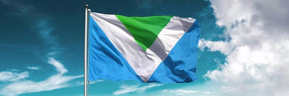 Saeid Vafa's banner