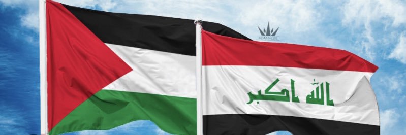 السيد ابو ضاري's banner