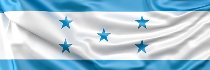 Hamlet Barahona's banner
