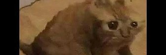 GHOSTYMPA's banner