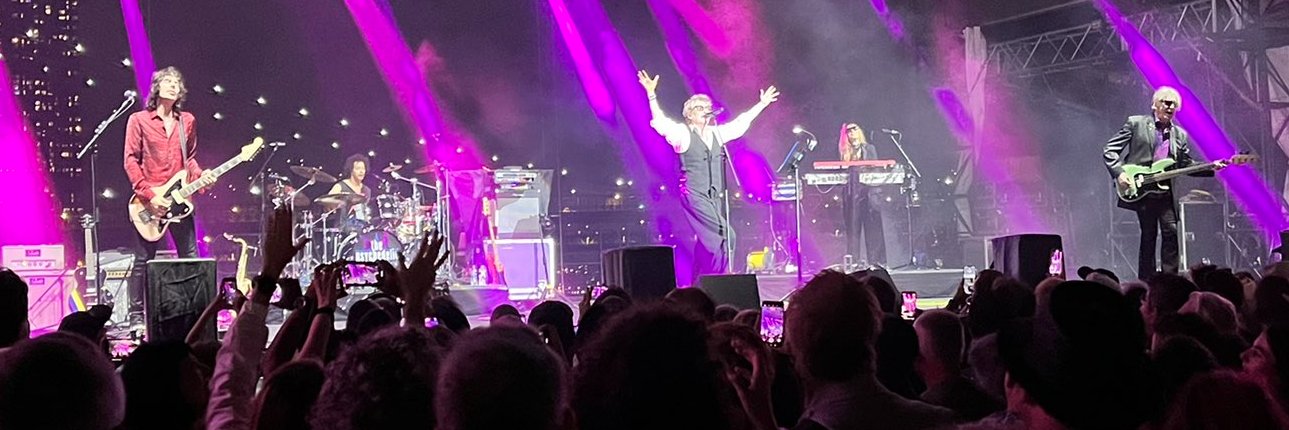 The Psychedelic Furs's banner