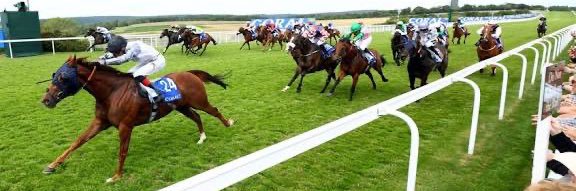Charlock Stud-Graham&Carla's banner