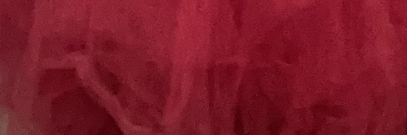 ellie 🍉🐝 🐞💡's banner