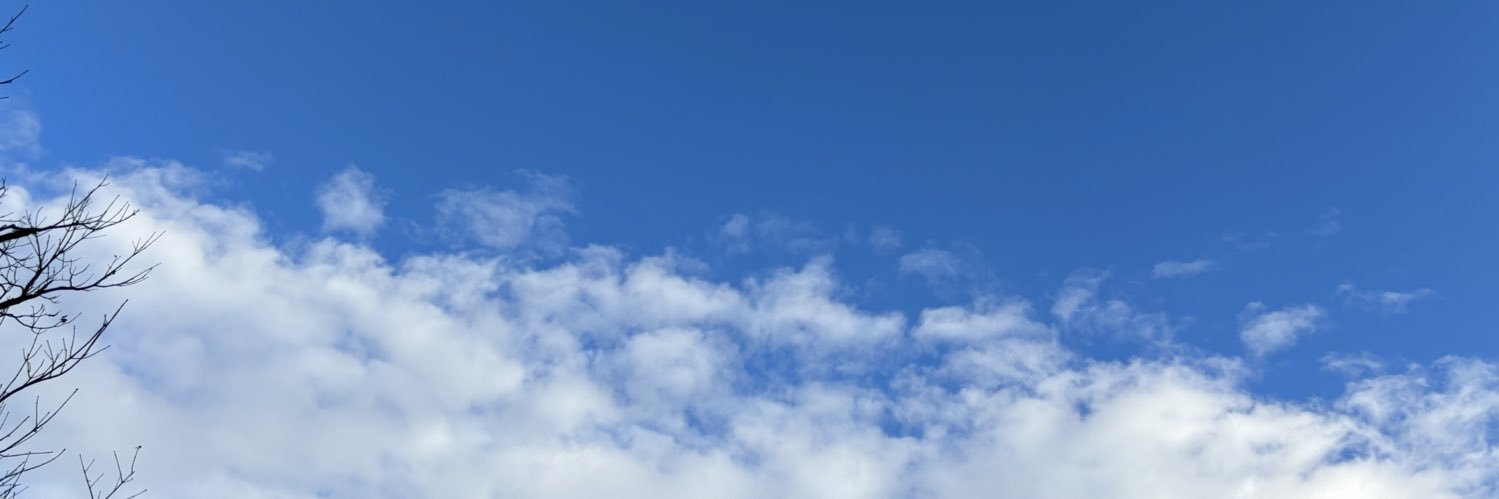 内田彩澄's banner