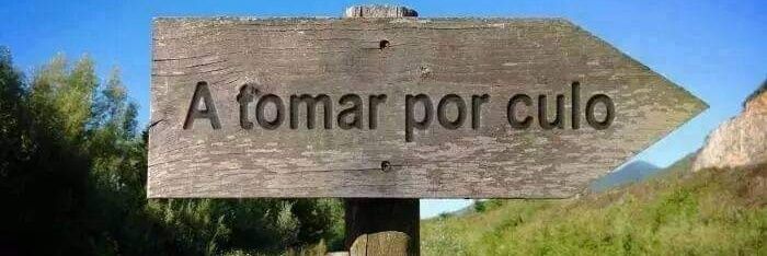 Sinolodigo...'s banner