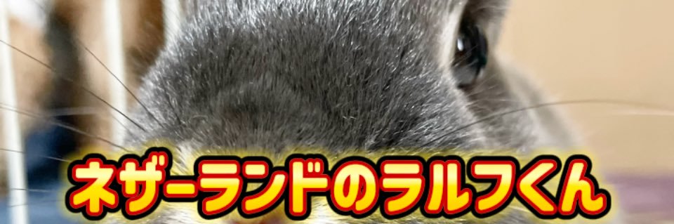 大阪UBER配達員さん's banner