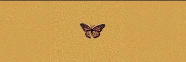 KODIAK🦋's banner
