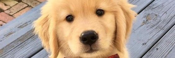 ⋆★⋆ HavikAD ⋆★⋆'s banner