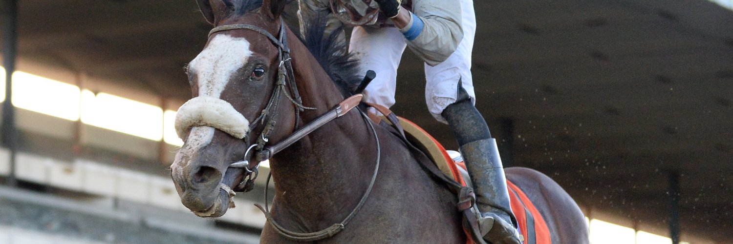 Sackatoga Stable LLC's banner