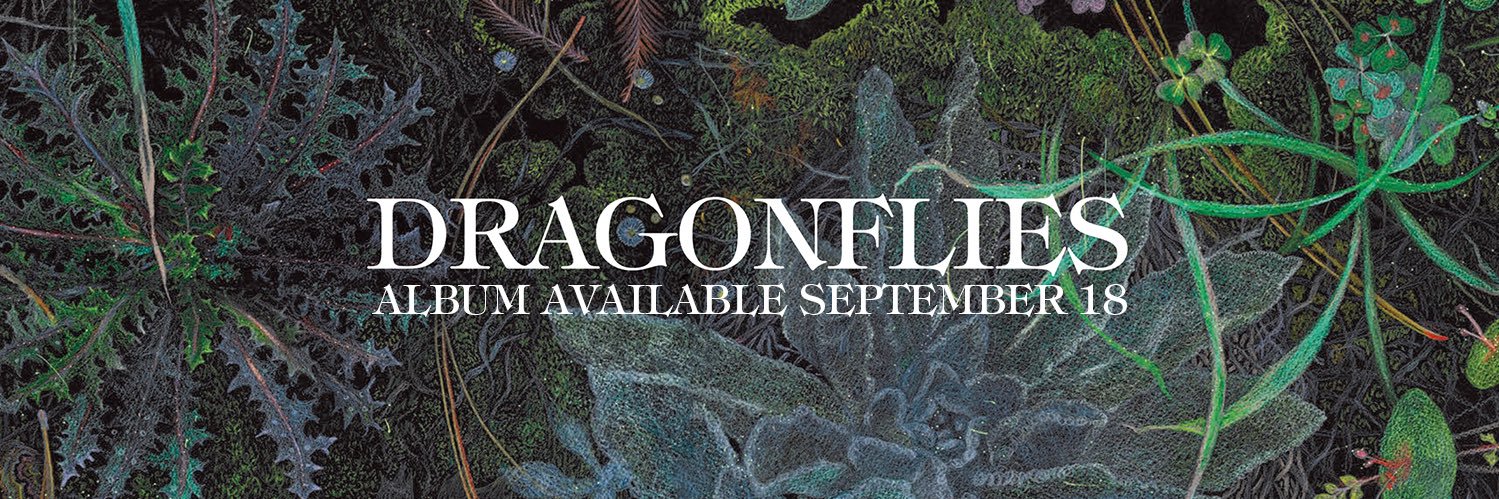 darkhorserecords's banner