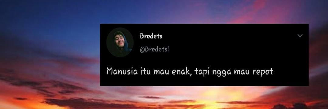 Brodets 🍉's banner