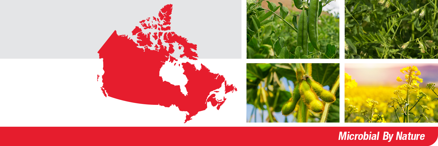Lallemand Plant Care Canada's banner