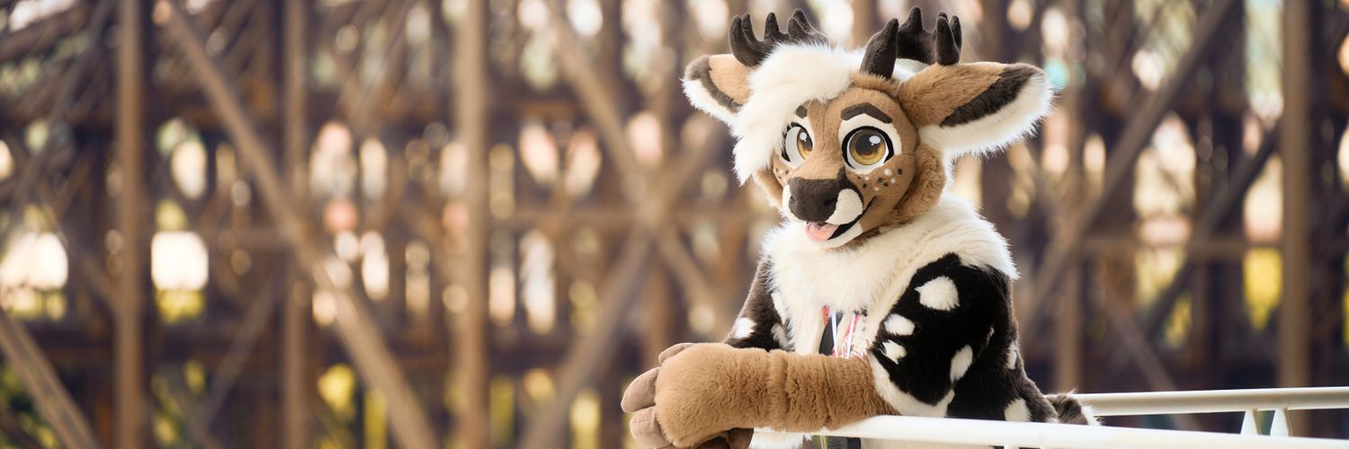 timber's banner