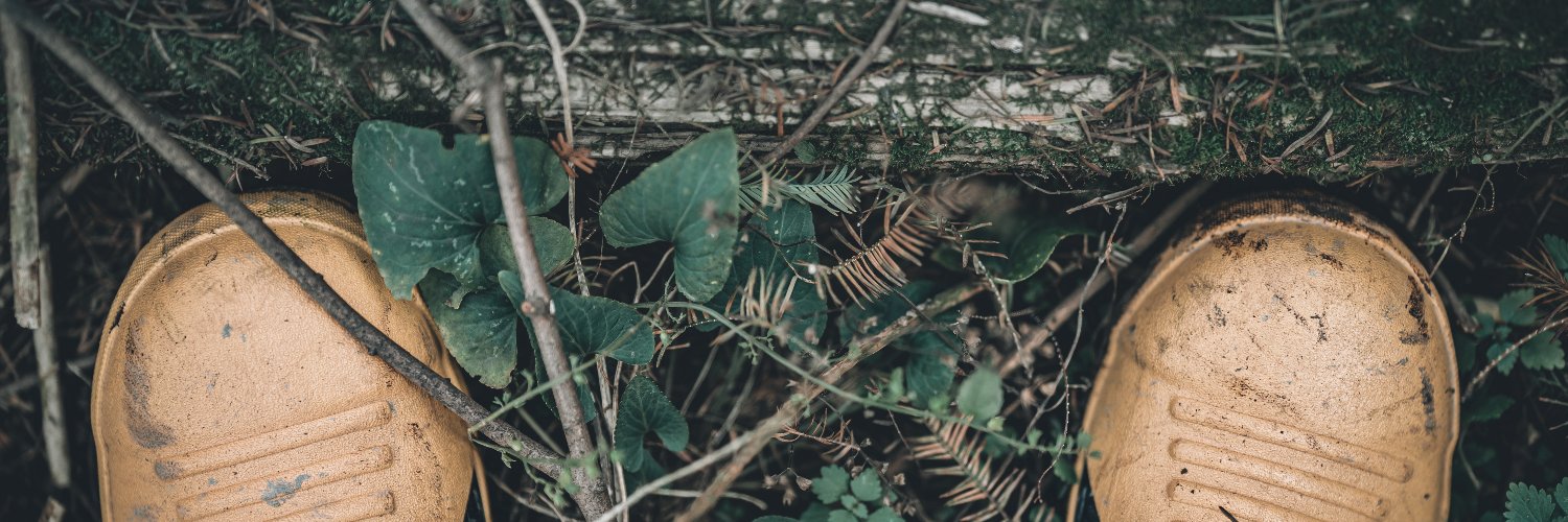 TigerBBBear's banner
