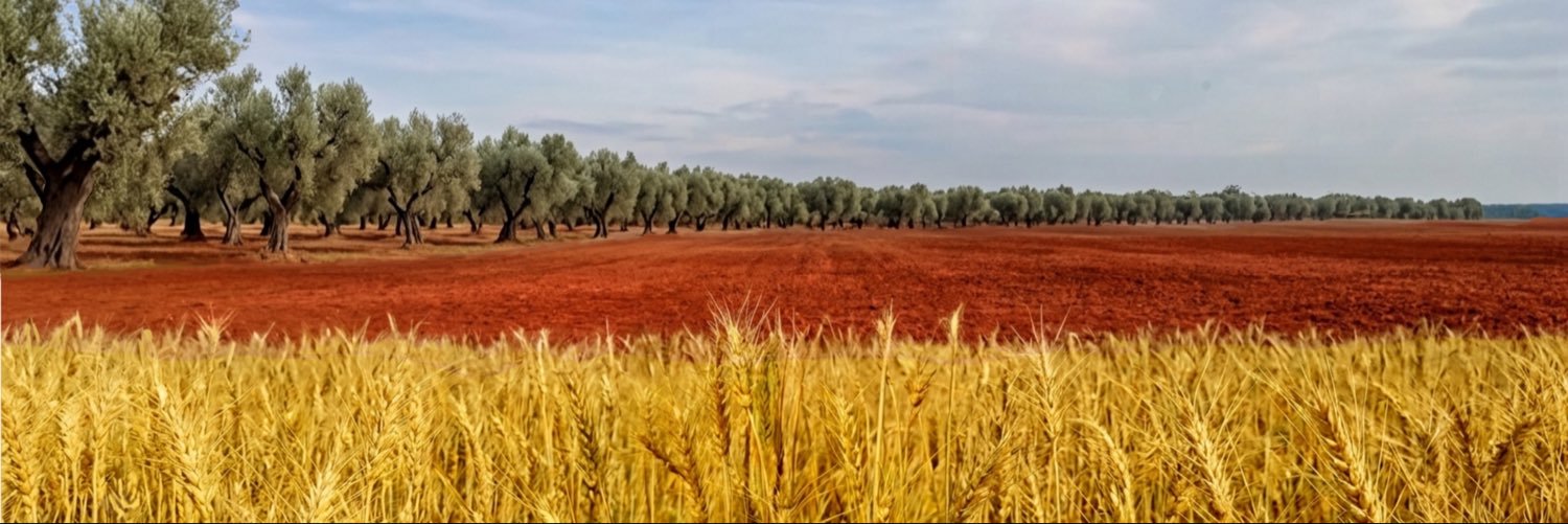 Mazloum Abdî مظلوم عبدي's banner